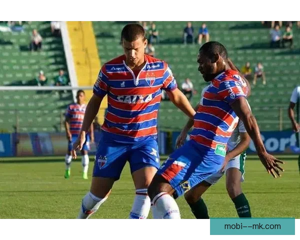 卢塞罗南美杯决赛福塔雷萨首开纪录为球队打响胜利之战