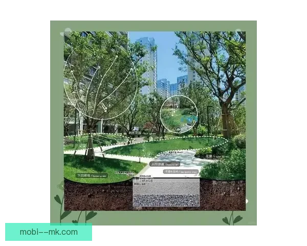 墨西哥城宣布阿兹特克体育场周边增建绿地提升城市生态环境
